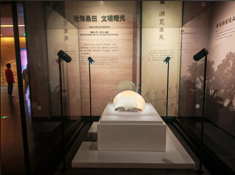 探秘延安博物馆｜一眼越万年，读懂黄土高原的文明密码